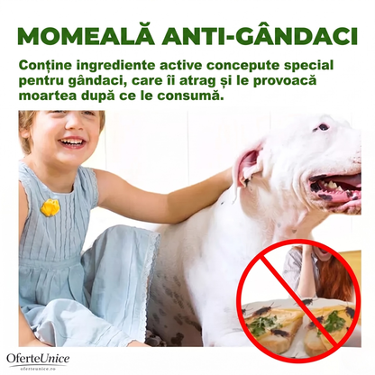 Capcană Anti-Gândaci – Set 12 Buc