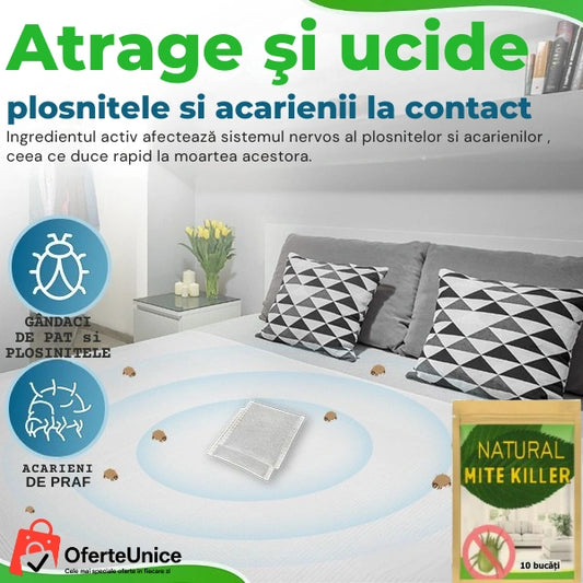 10 Săculeți Naturali Anti-Acarieni – Ajută la Prevenția Ploșnițelor