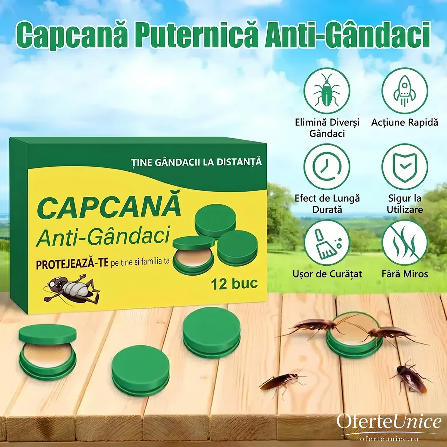 Capcană Anti-Gândaci – Set 12 Buc