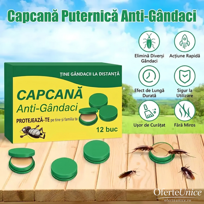 Capcană Anti-Gândaci – Set 12 Buc